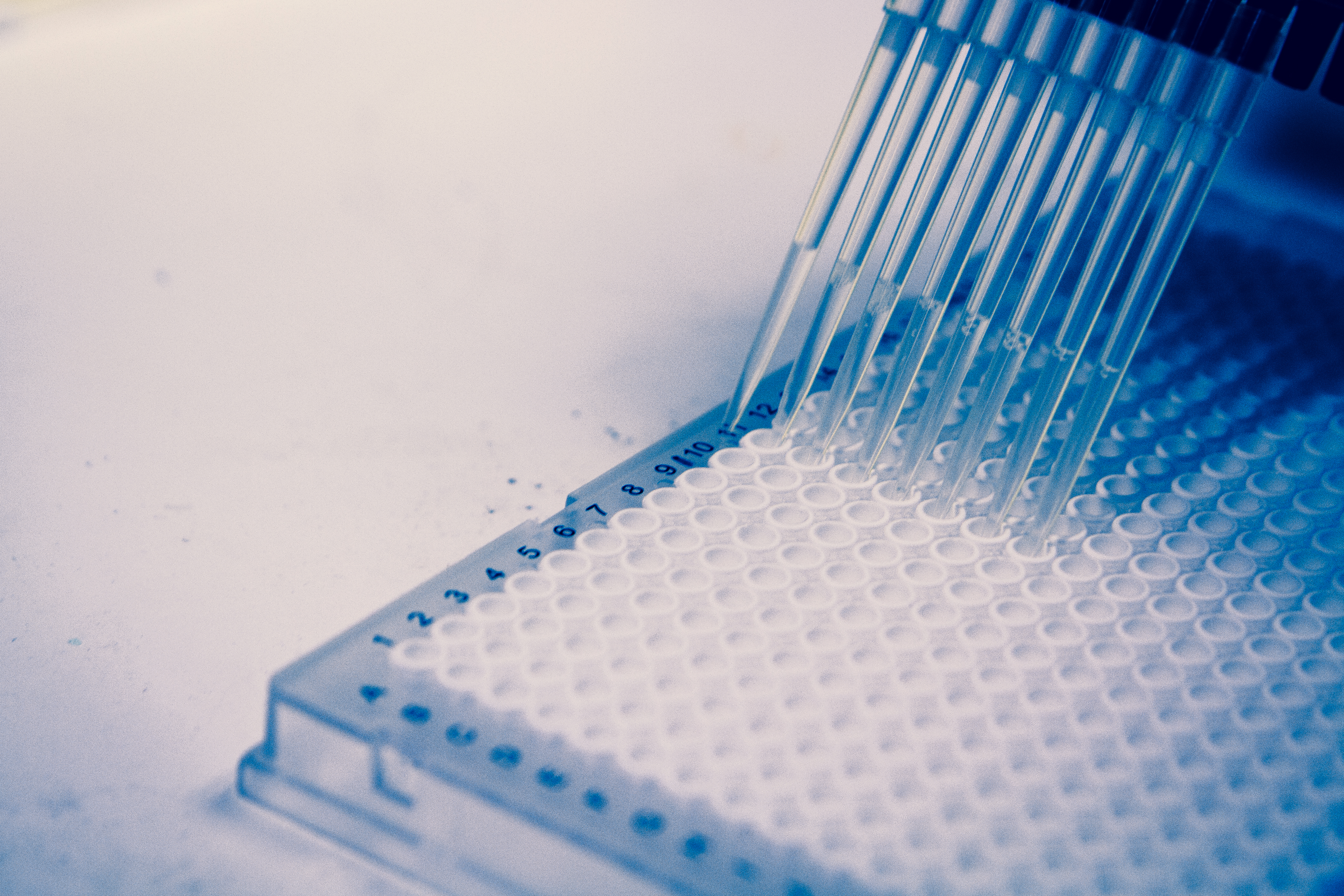 Pipettes positioned over a laboratory sample plate