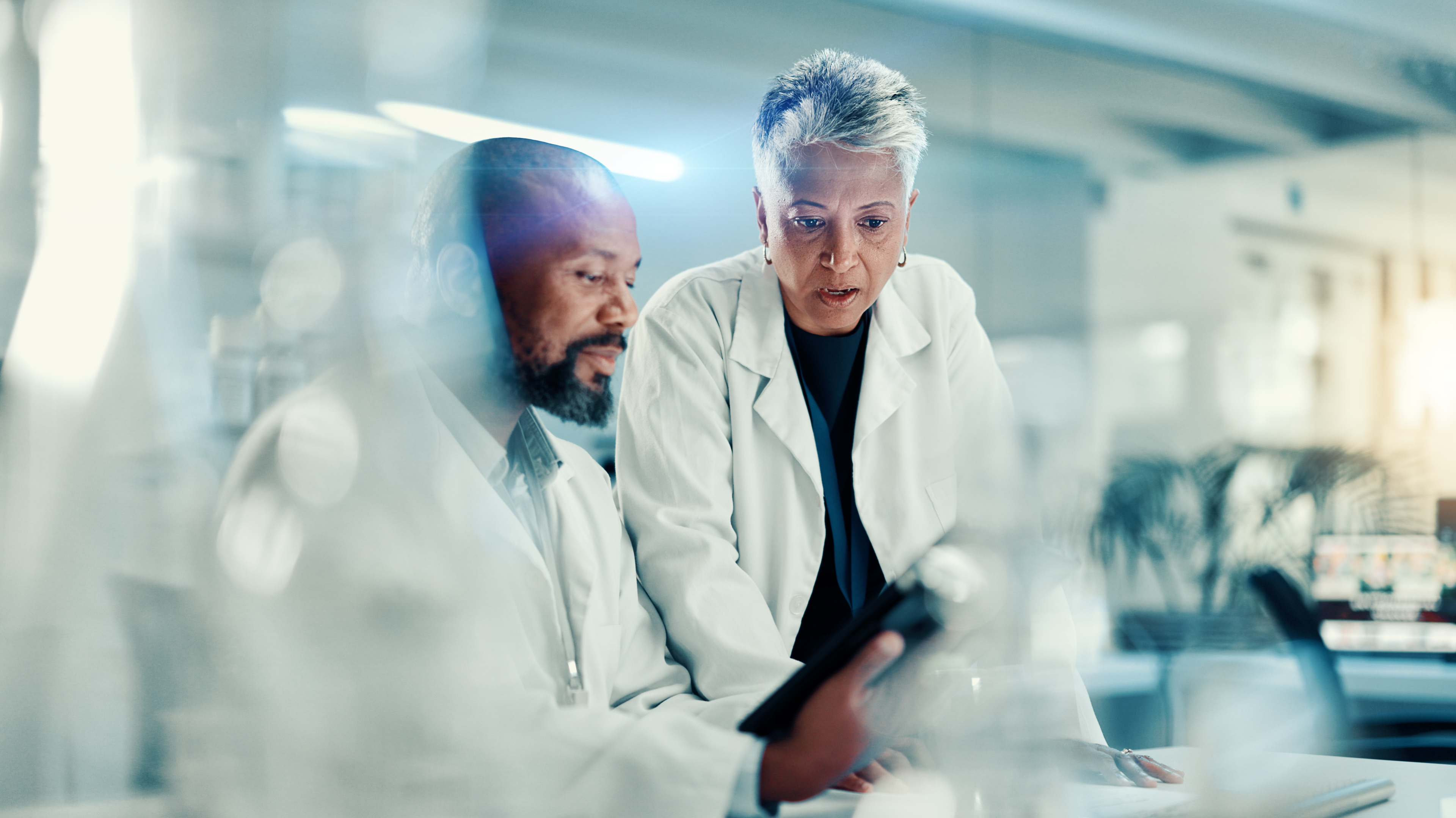 Two researchers reviewing results together in a laboratory