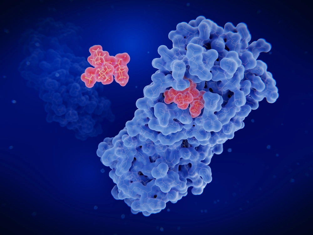 Molecular illustration of nirmatrelvir binding to the SARS-CoV-2 main protease